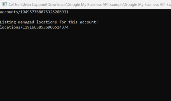 Google My Business C# API Example: Program execution