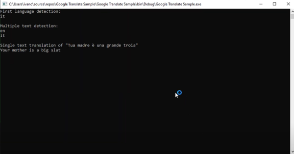 Google Translate API in C# - Example: Program execution